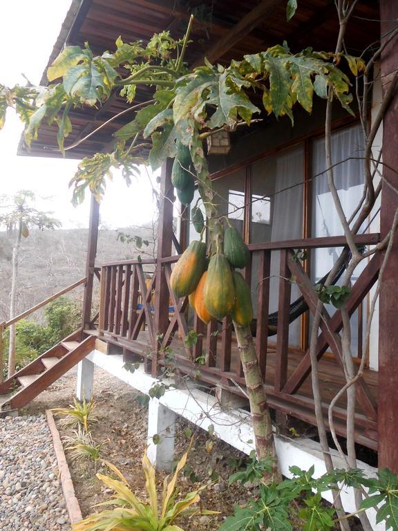 Maremonti Bed & Breakfast Puerto López Esterno foto