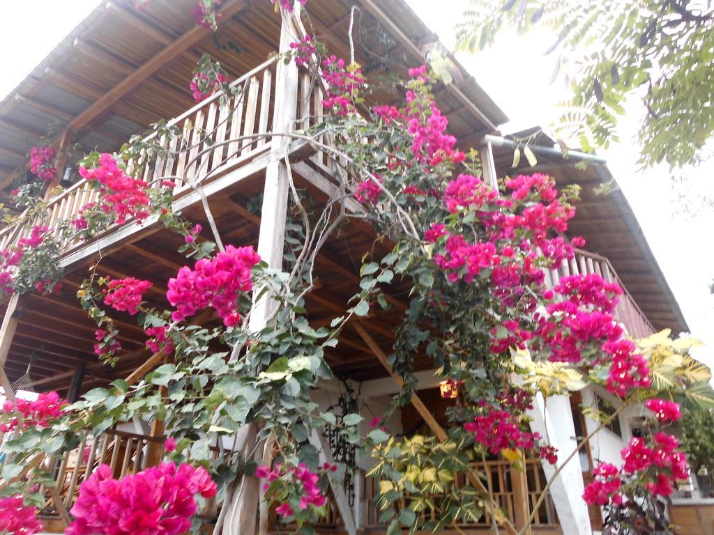 Maremonti Bed & Breakfast Puerto López Esterno foto