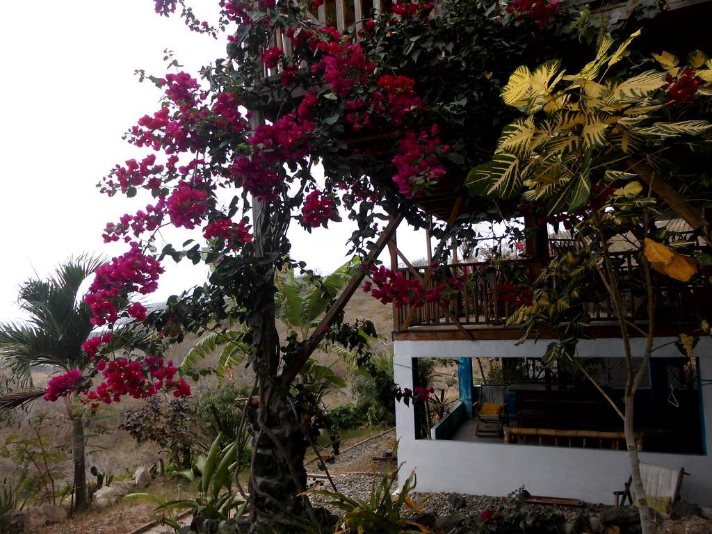 Maremonti Bed & Breakfast Puerto López Esterno foto