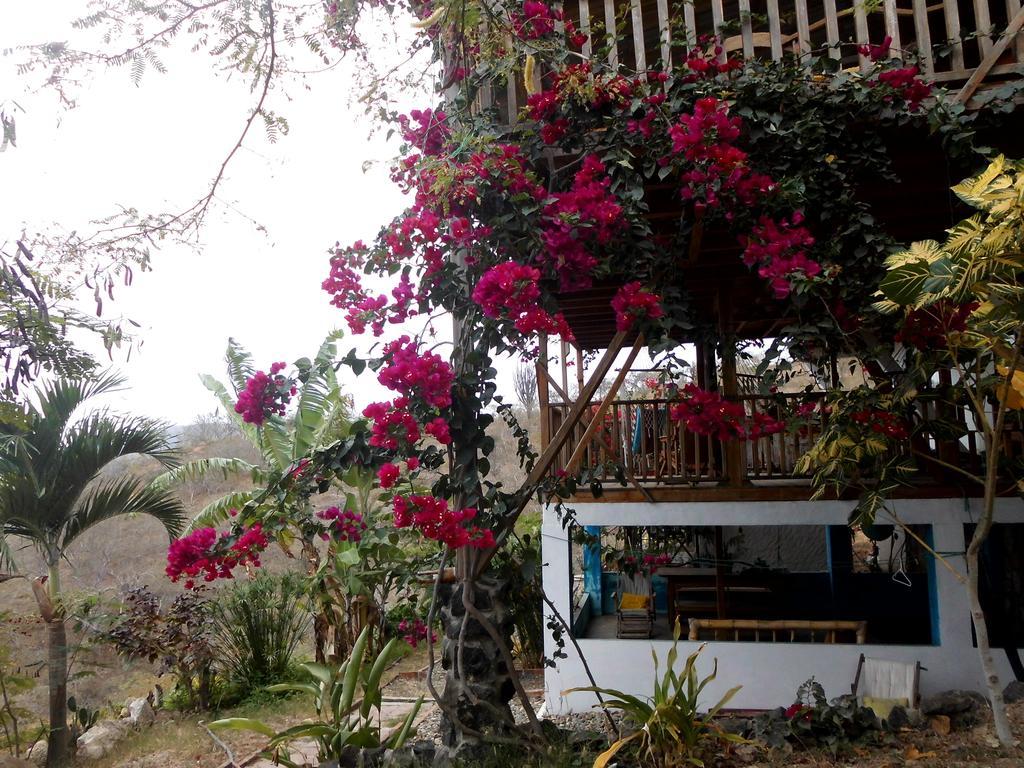 Maremonti Bed & Breakfast Puerto López Esterno foto