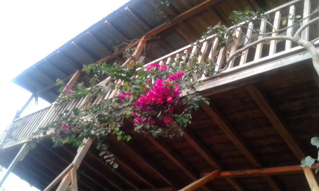 Maremonti Bed & Breakfast Puerto López Esterno foto